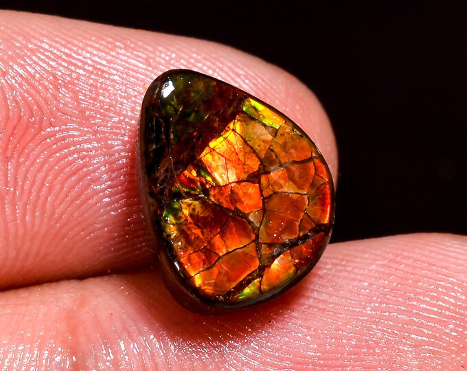 Dazzling Top Grade Quality 100% Natural Ammolite Fancy Shape Cabochon Loose Gemstone For Making Jewelry 12X9X4 MM 05.50 Cts. KR41-31