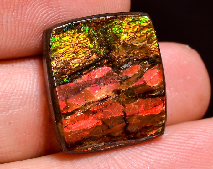 Wonderful Top Grade Quality 100% Natural Ammolite Radiant Shape Cabochon Loose Gemstone For Making Jewelry 17X15X5 MM 19.50 Cts. KR41-25
