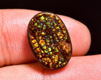 Exclusive Top Grade Quality 100% Natural Ammolite Oval Shape Cabochon Loose Gemstone For Making Jewelry 15X10X4 MM 09.00 Cts. KR41-58