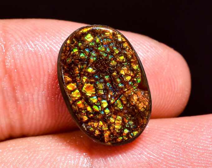 Exclusive Top Grade Quality 100% Natural Ammolite Oval Shape Cabochon Loose Gemstone For Making Jewelry 15X10X4 MM 09.00 Cts. KR41-58