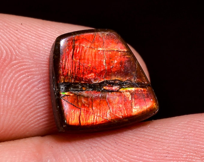 Terrific Top Grade Quality 100% Natural Ammolite Fancy Shape Cabochon Loose Gemstone For Making Jewelry 11X10X4 MM 05.50 Cts. KR41-23