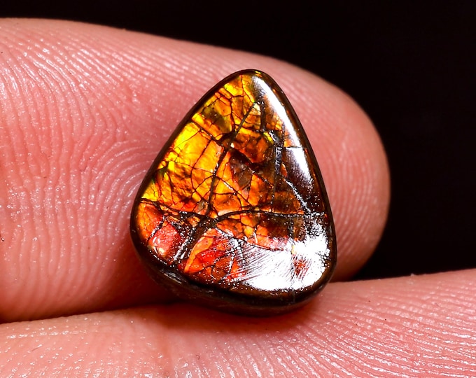 Stunning Top Grade Quality 100% Natural Ammolite Fancy Shape Cabochon Loose Gemstone For Making Jewelry 11X10X4 MM 05.00 Cts. KR41-45