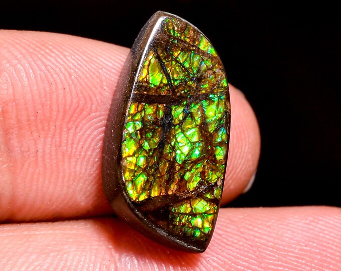 10.00 Cts. Canadian Ammolite Ammonite Triplet Amazing Quality 100% Natural Ammolite  Cabochon Loose Gemstone For Making Jewelry 17X9X4 MM