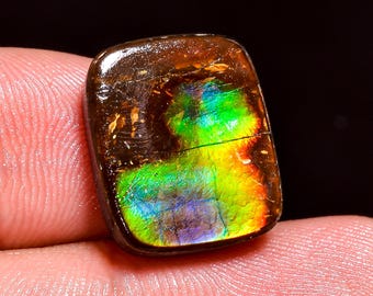 Elegant Top Grade Quality 100% Natural Ammolite Radiant Shape Cabochon Loose Gemstone For Making Jewelry 16X13X4 MM 12.00 Cts. KR41-34