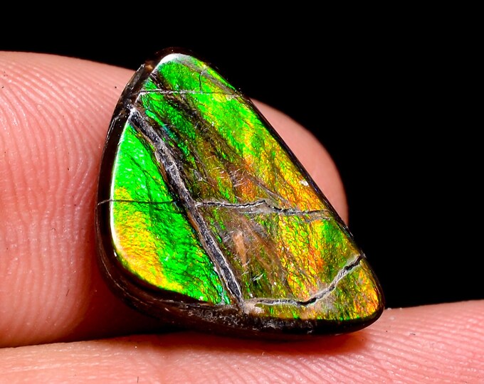 Incredible Top Grade Quality 100% Natural Ammolite Fancy Shape Cabochon Loose Gemstone For Making Jewelry 17X11X4 MM 08.00 Cts. KR41-14
