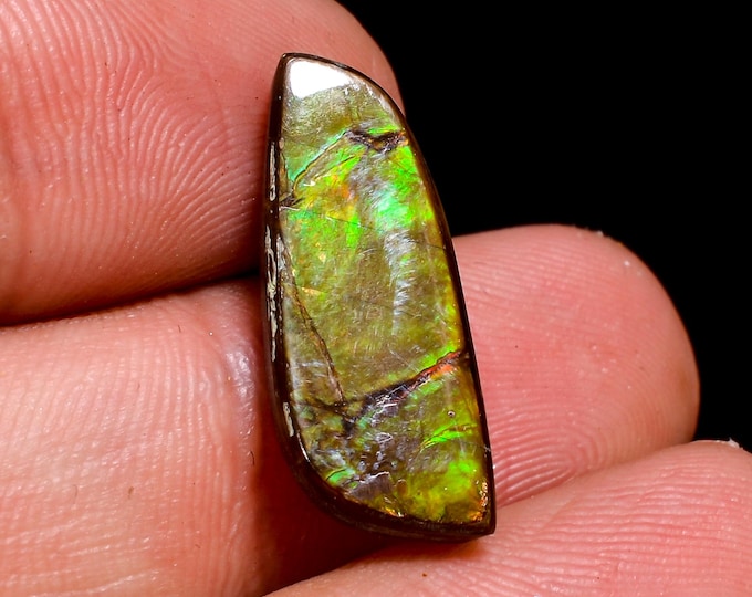 Fantastic Top Grade Quality 100% Natural Ammolite Fancy Shape Cabochon Loose Gemstone For Making Jewelry 19X8X4 MM 07.50 Cts. KR41-11