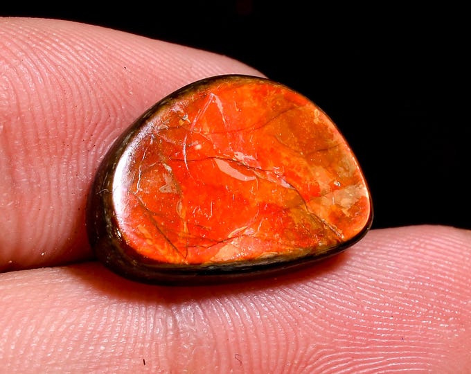 8.00 Cts. Canadian Ammolite Ammonite Triplet Amazing Quality 100% Natural Ammolite  Cabochon Loose Gemstone For Making Jewelry 18X12X3 MM