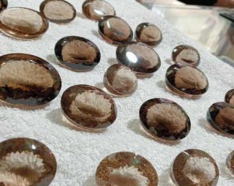 Faceted Smokey Quartz Gemstone: 6877 Carat Oval Stone Lot