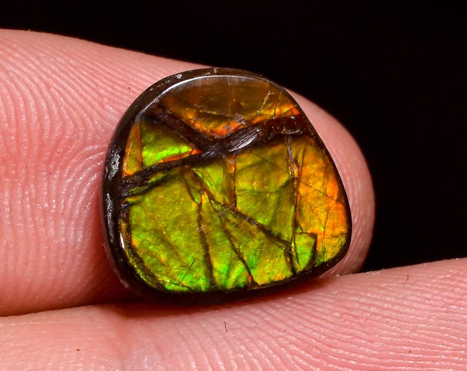Attractive Top Grade Quality 100% Natural Ammolite Fancy Shape Cabochon Loose Gemstone For Making Jewelry 12X11X4 MM 07.00 Cts. KR41-27
