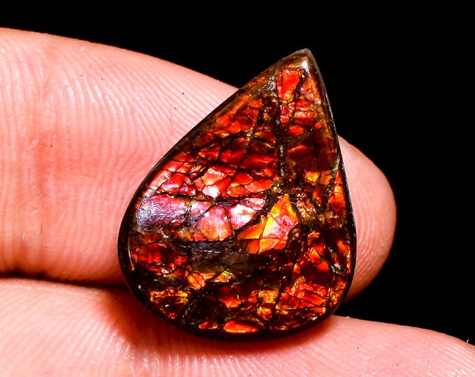 Elegant Top Grade Quality 100% Natural Ammolite Fancy Shape Cabochon Loose Gemstone For Making Jewelry 18X14X5 MM 12.50 Cts. KR41-9