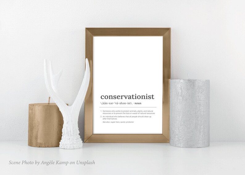 Simply Download /& Print Conservationist Definition Poster