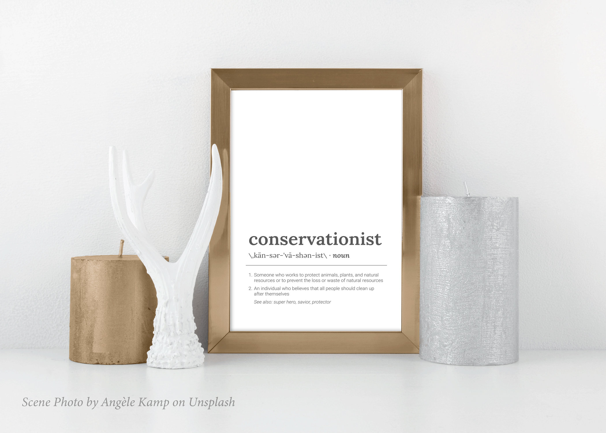 Simply Download /& Print Conservationist Definition Poster