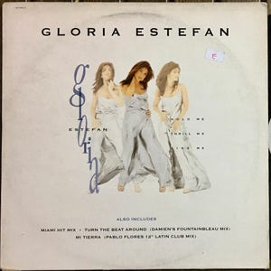 1994 Gloria Estefan - Hold Me, Thrill Me, Kiss Me ,  Vinyl, 12", 33  RPM, Single