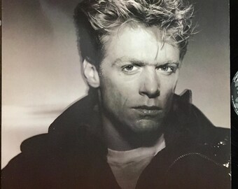 1985 Bryan Adams – Reckless , Vinyl, LP, Album - Etsy