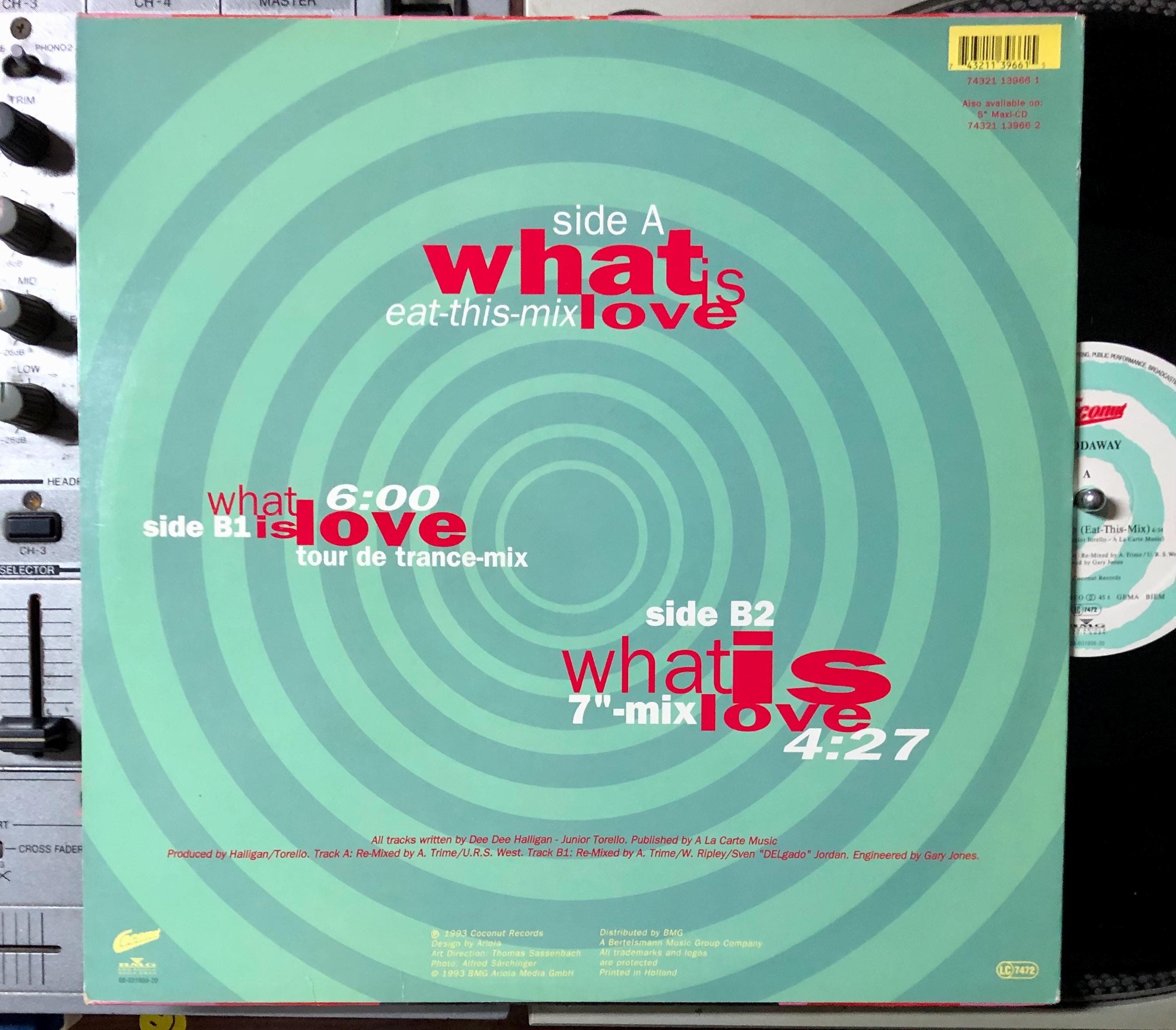 1993 Haddaway - What is Love (remix) Vinyl, 12