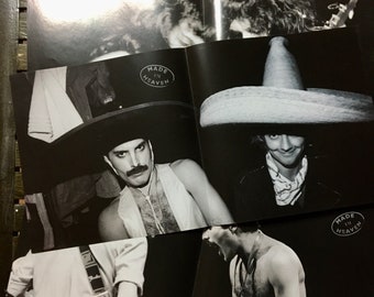 1995 Limited Edition , Queen - Made in Heaven , Vinyl, LP, Album 1995 Limited Edition , Queen - Made in Heaven , Vinyl, LP, Album