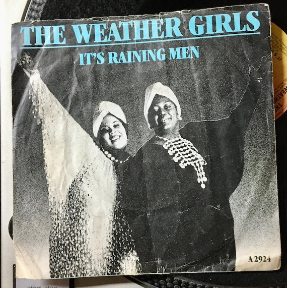 1984 the Weather Girls – It's Raining Men , Vinyl, 7