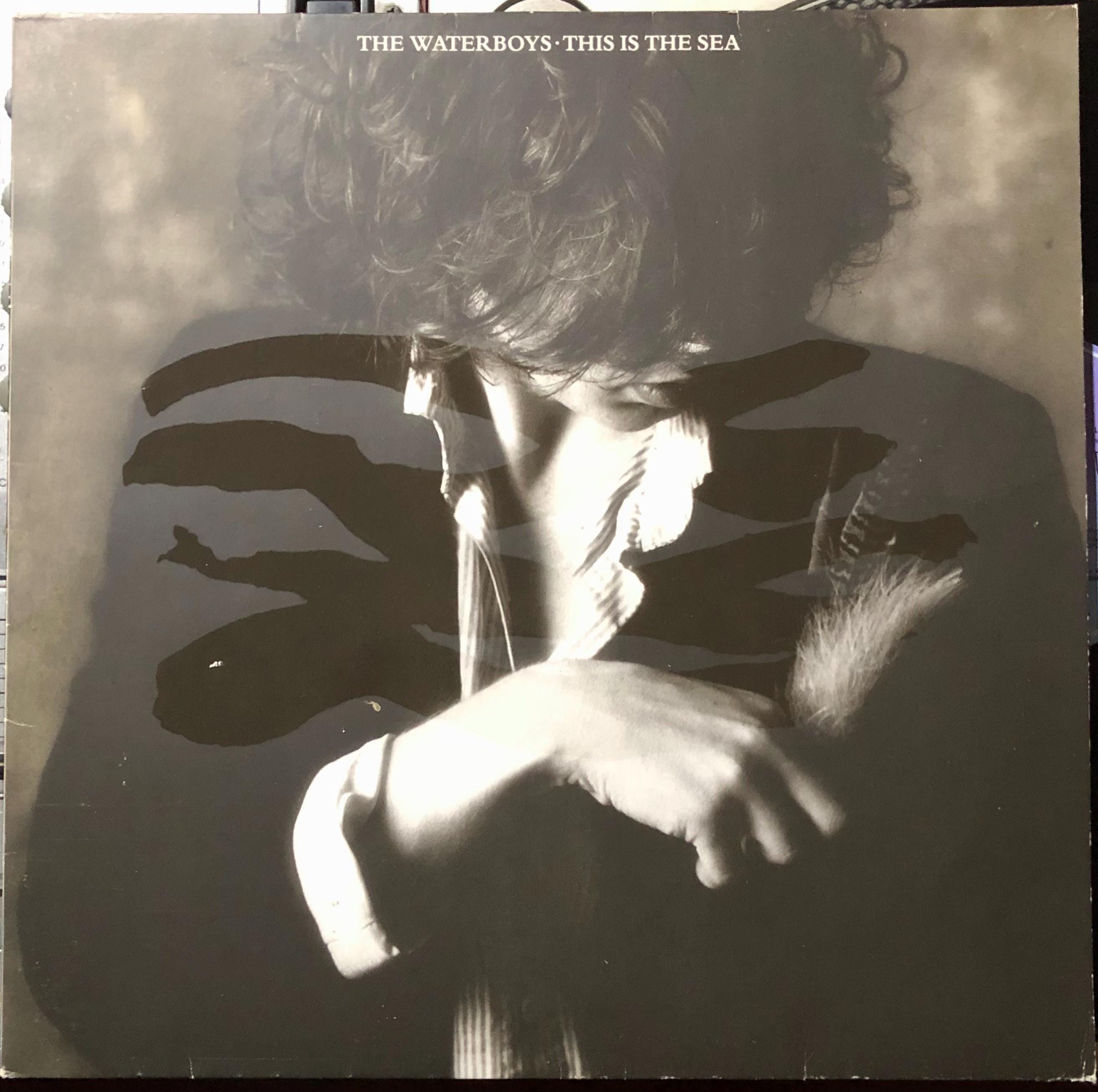1985 ウォーターボーイズ – This Is The Sea 、レコード、LP、アルバム