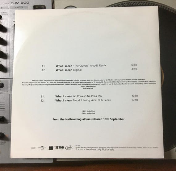 2001 Modjo - What I Mean , Vinyl, 12