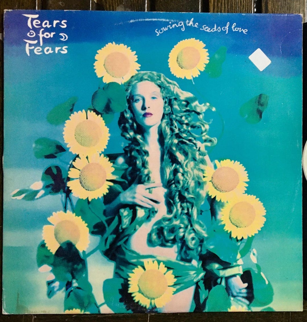 Tears for Fears - Sowing the Seeds of Love 12