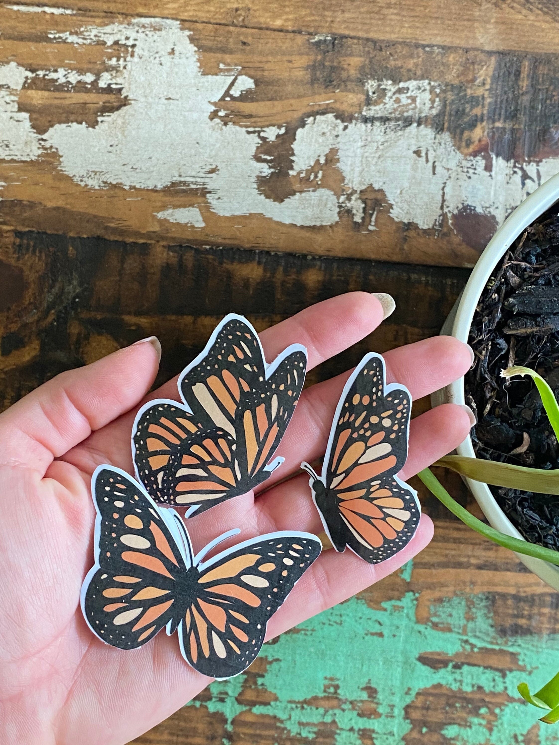 Monarch Butterfly Set Etsy