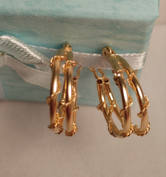 Double hoop earrings