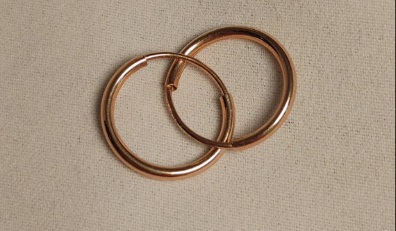 Hoop Earrings - image 1