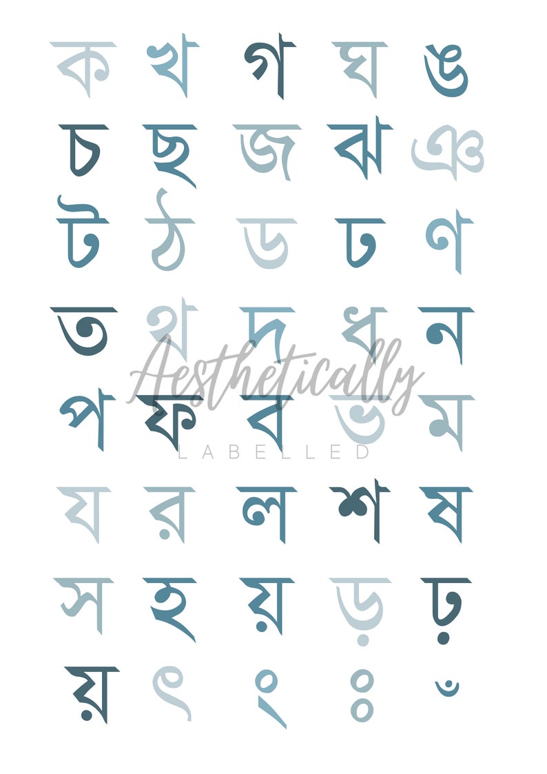 Bengali Alphabet Instant Download Digital Poster Five Colour Scheme