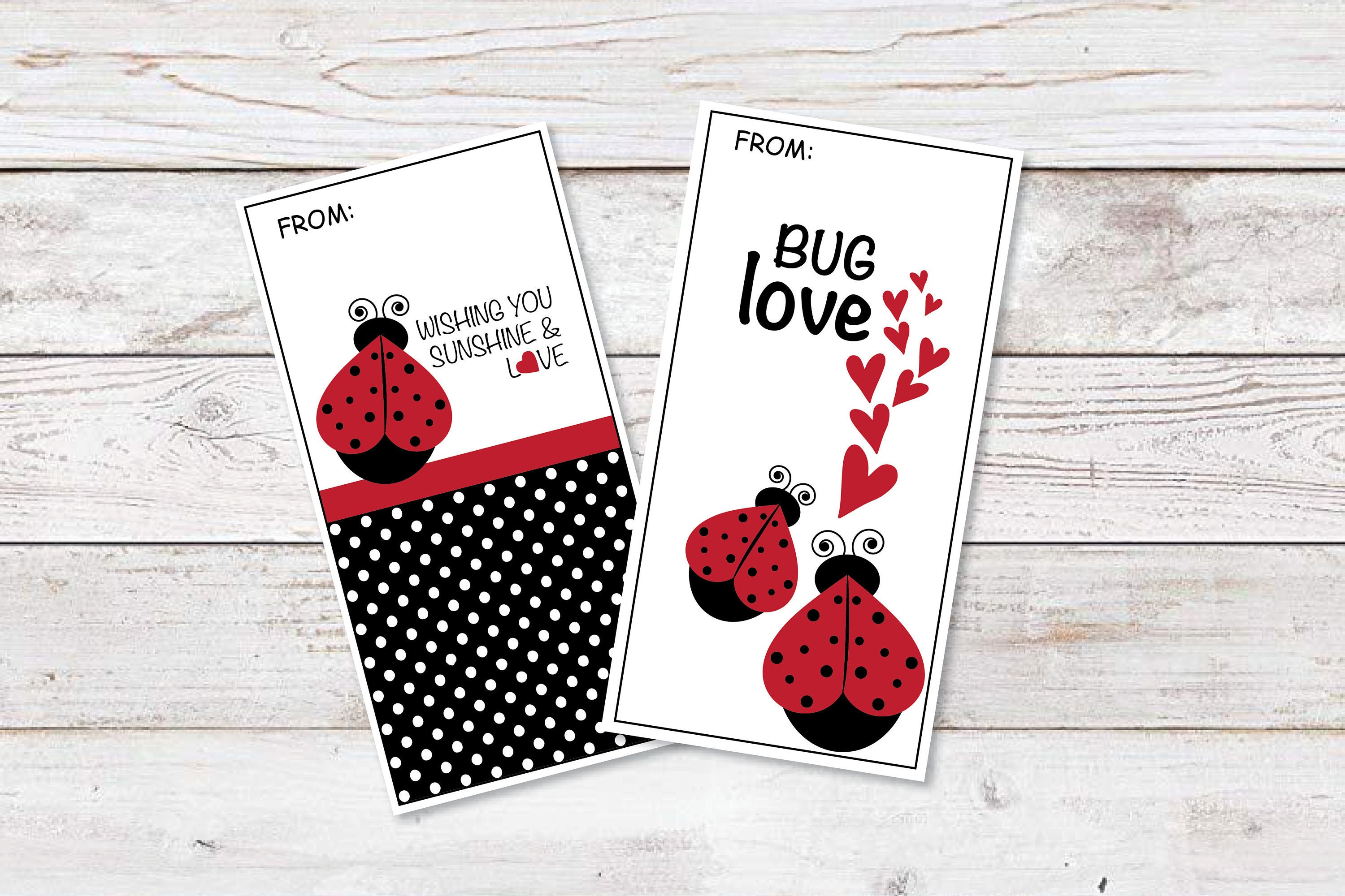 Printable Lady Bug Valentines Classroom Friendship, Valentines Cards ...