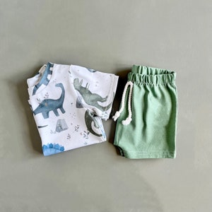 May include: A white short-sleeved t-shirt with a dinosaur print and a pair of green shorts with a white drawstring.