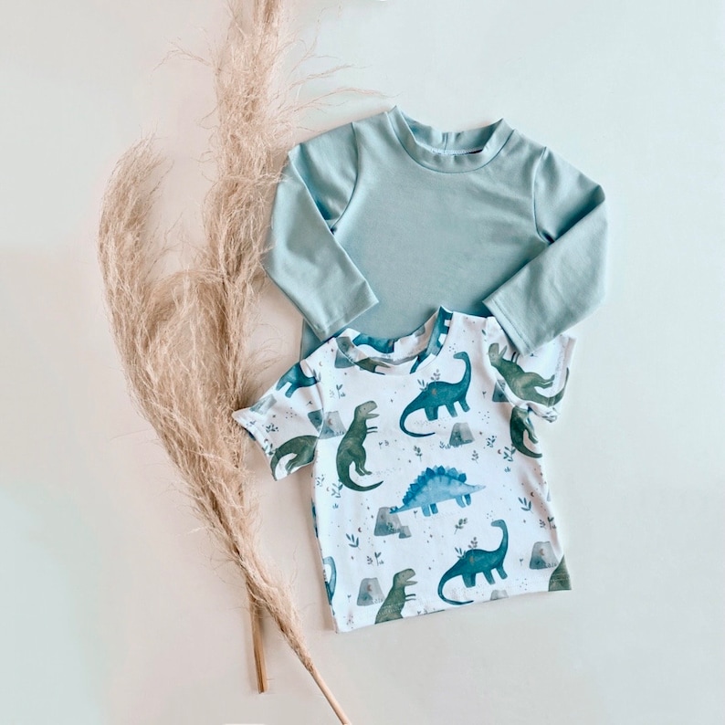 May include: Two children's shirts, one light blue long-sleeved shirt and one white short-sleeved shirt with a dinosaur print.