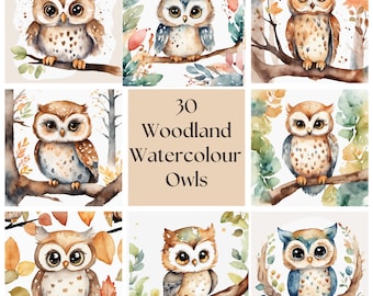 Watercolour Owl Clipart Bundle of 30 illustrations, background, digits; download, PNG, COMMERCIAL USE