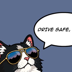 Drive Safe, Human - Vinyl Decal JDM Cat - Car Accessories for car enthusiasts