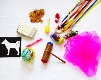 Let's Get Musical Sensory Box 12 ITEMS