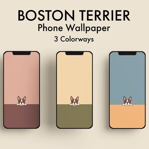 Boston Terrier Dog Phone Background Wallpaper | Pastel Colors | Apple iPhone and Android Samsung | Digital Download