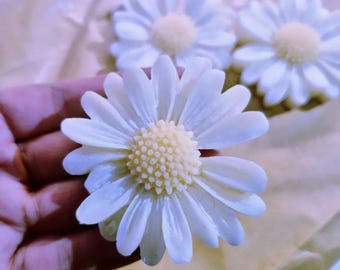 Cera di soia Daisy / Fragranza per la casa fresca e floreale
