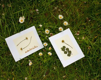 fragile living nature on greeting cards and pictures