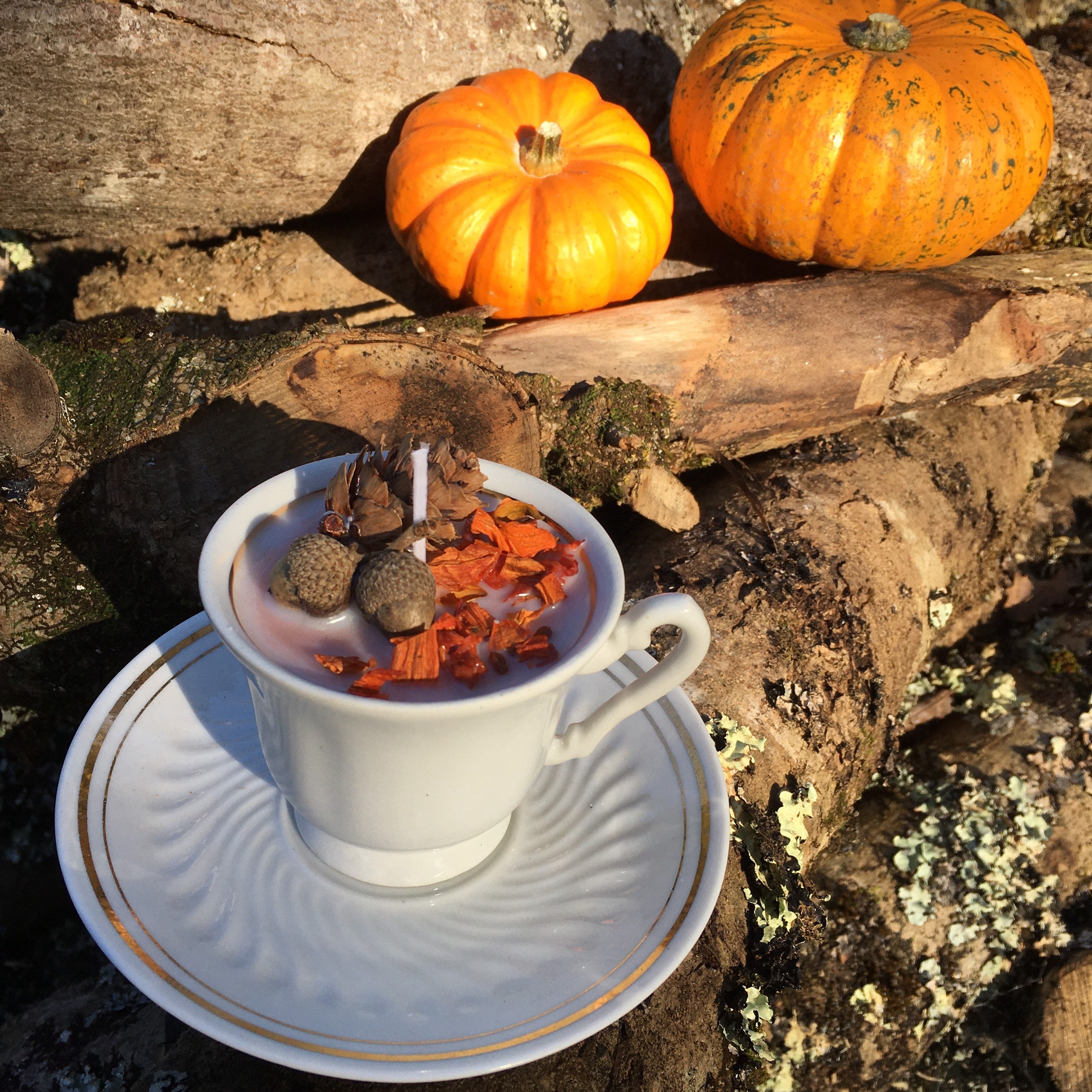 Bougie Soja Tasse Automnale