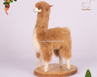 il_340x270.4421962653_7fqe.jpg