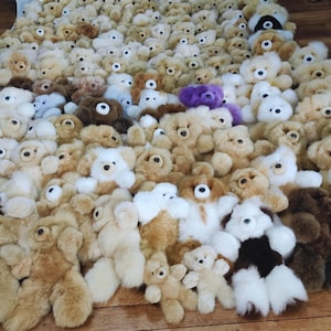 Könnte beinhalten: Eine große Sammlung von flauschigen, cremefarbenen Teddybären mit einigen braunen und weißen Bären. Die Bären sind in einem zufälligen Muster angeordnet und schauen alle in verschiedene Richtungen.