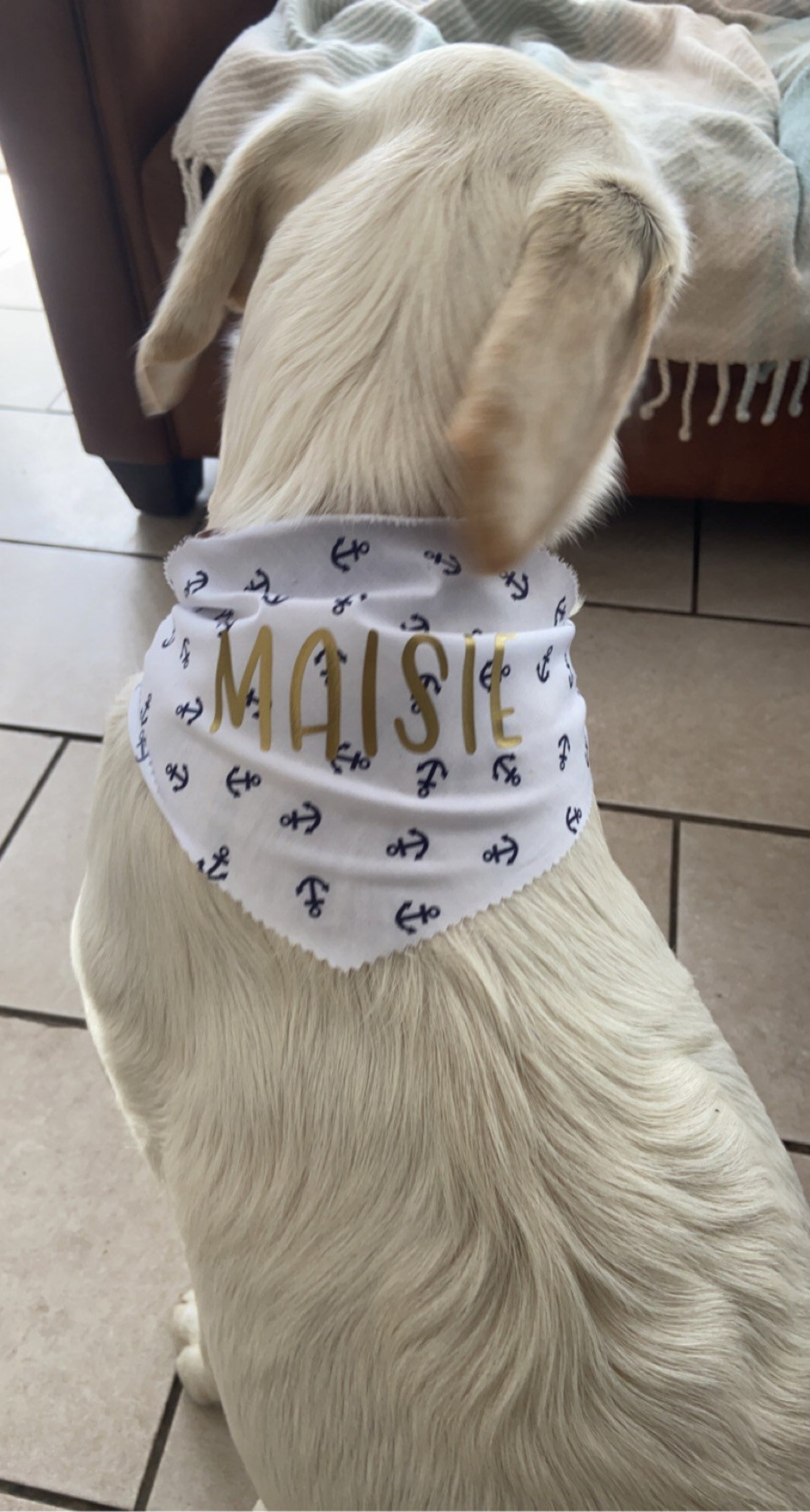 Personalised dog bandanas range of colours including glitters Etsy