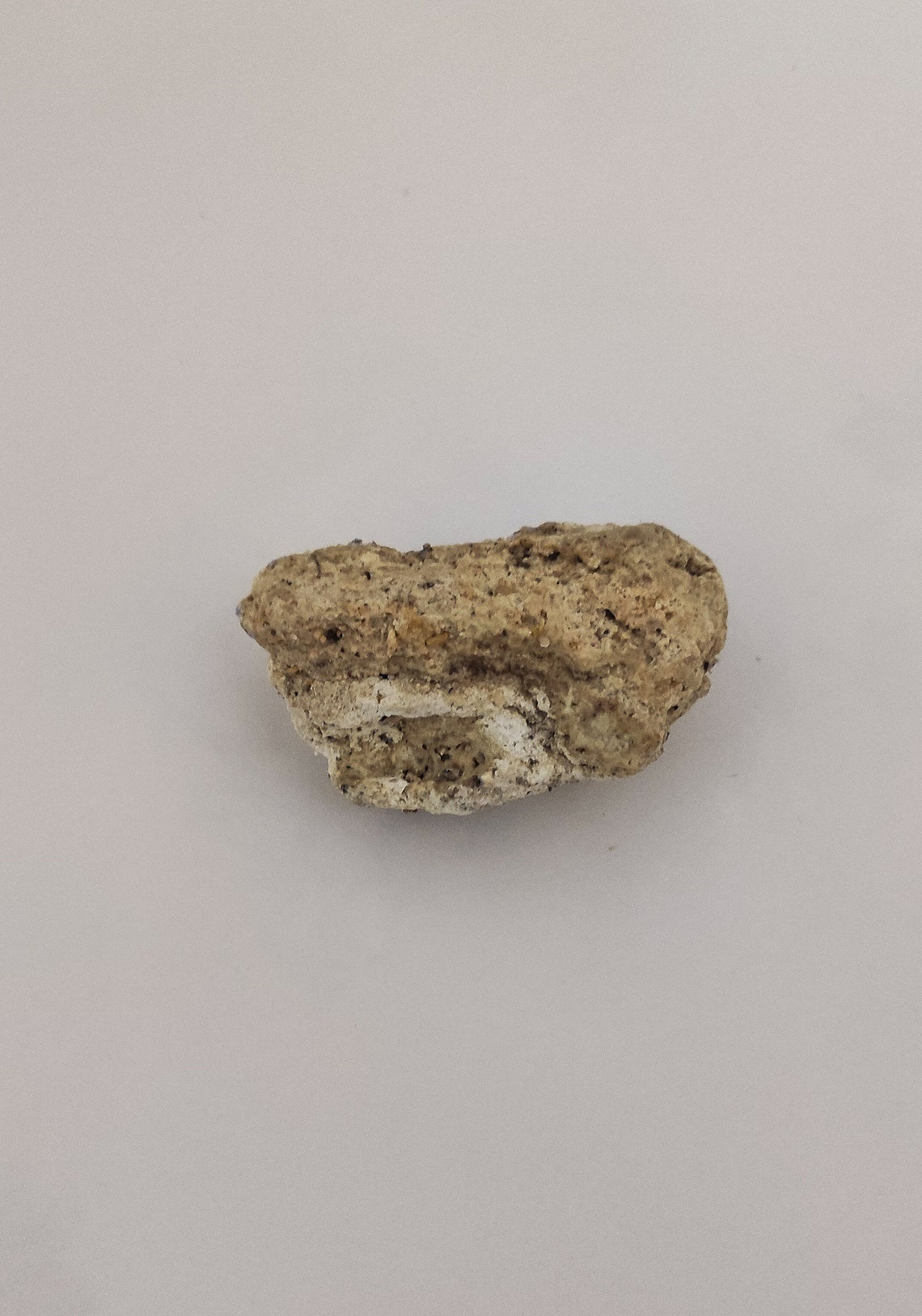 White Ambergris 18 Gram White Ambergris With a Blend of Etsy