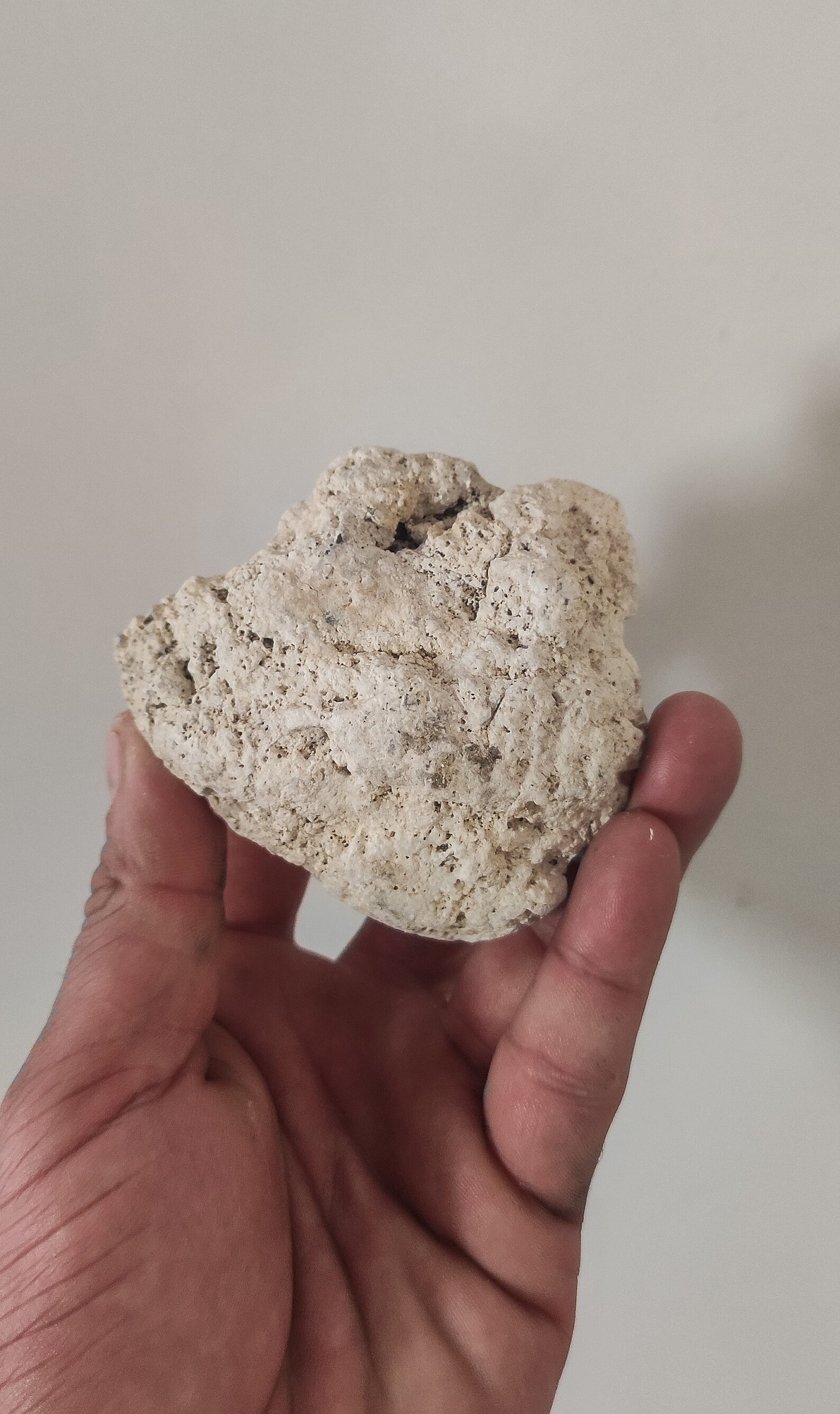 Ambergris white 70gram Old ambergris with a rather dry and Etsy