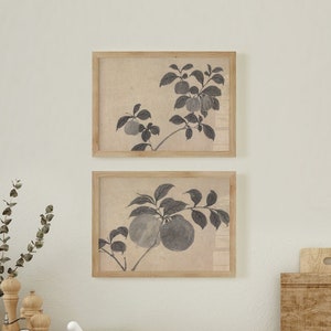 May include: Two framed botanical prints featuring grayscale illustrations of fruit-bearing branches. The prints are displayed above a white sink and wooden countertop, creating a serene kitchen aesthetic. The frames are a light brown color.