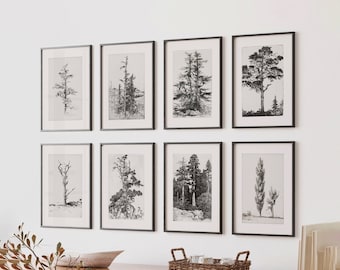 Vintage Tree Print Gallery Wall Set: Forest Sketch Art (Digital Download)