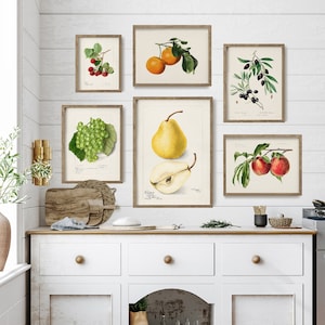 Kitchen Gallery Wall Art Set of 6, Vintage Fruit Prints, Farmhouse Kitchen Decor, Retro Poster, Food Print, Dining Room Wall Set
