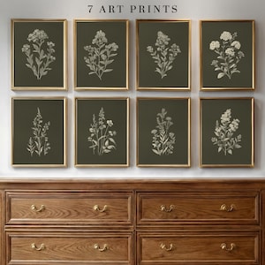 Puede incluir: Siete grabados artísticos enmarcados con ilustraciones botánicas en marcos dorados. Los grabados muestran dibujos detallados de varias flores y plantas sobre un fondo verde oscuro. El texto "7 ART PRINTS" está en la parte superior.