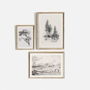 Vintage Gallery Wall Print Set, Vintage Prints, Tree Sketches, Home Decor, Botanical Sketch Art, Hand Drawn Print, chorcaol draw print