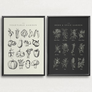 Gemüsegarten Poster, Kräuter und Gewürz Prints, Kunstdruck Küche, Esszimmer, Wanddekor, Food Sketch Art, Botanische Illustration,