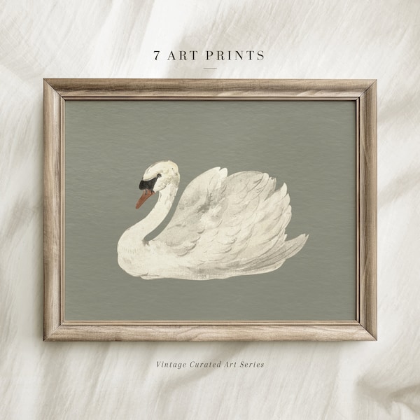 Vintage Animal Wall Art, Swan Painting, Digital Download